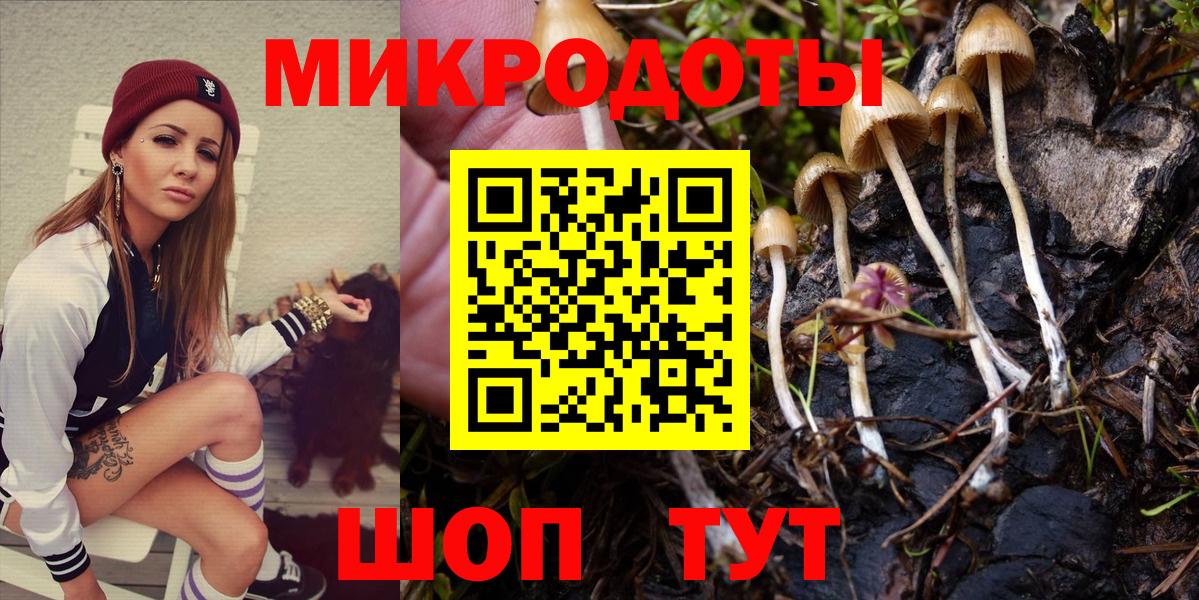 Псилоцибиновые грибы ЛСД Сальск