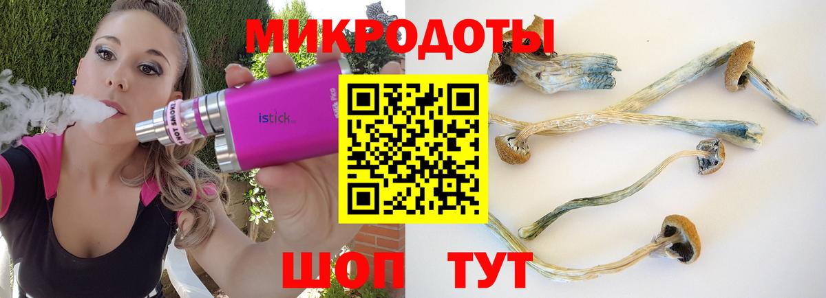 Сальск  Галлюциногенные грибы Psilocybe  Вход с VPN  Псилоцибиновые грибы мицелий 